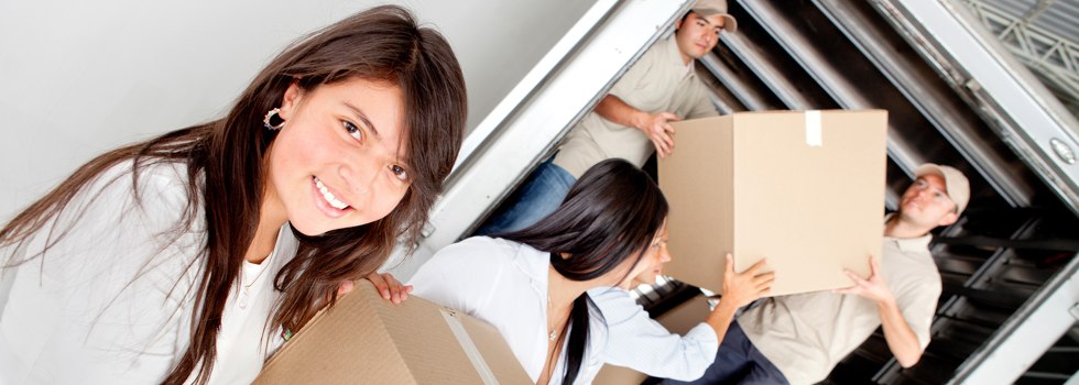 Professional Removalists Tocal QLD